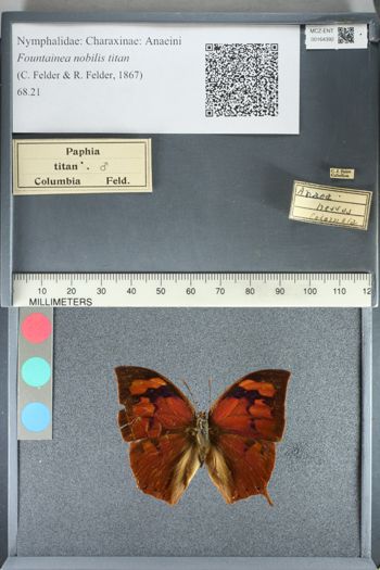 Media type: image;   Entomology 164392